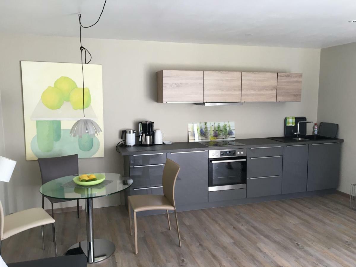 Bodenseeapartments Kunst & Design اممنستاد ام بودينسي المظهر الخارجي الصورة